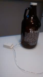 Batch Beer Fairy Lights Back